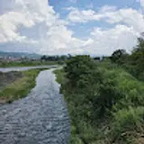 김동균
