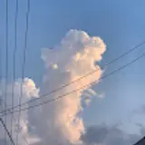수지