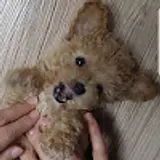 사람좋은후추