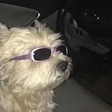 윤효정