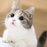 강효규