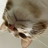 김시원