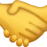 태디