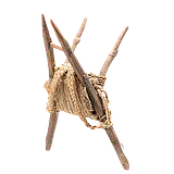 정유철