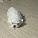김규철