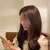 다인