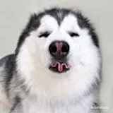 김선화
