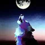 Luya