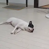 김민철