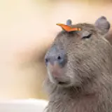 이명재