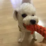 검열