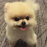 gnuoyyy