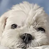 김지호
