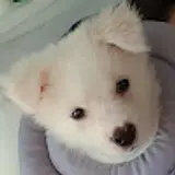 햇살맘