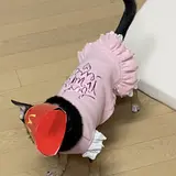 현종혁