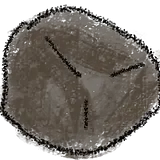 LK