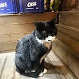 하선생