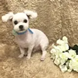 까꿍TV
