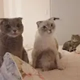 창수테크