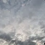 Zorba