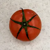 이지솔