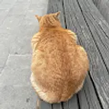이유림