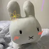 류지