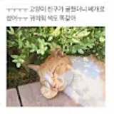 박동규