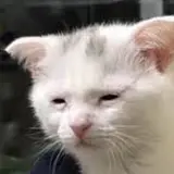 이름