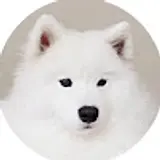 lsl