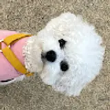 김창희