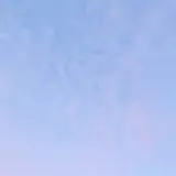 배홍주