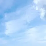 임수영
