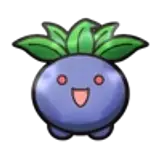 onion