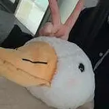 김규하