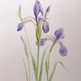 김현정