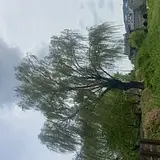 달걀볶이