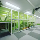wedrawood