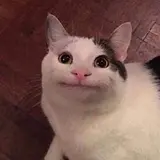 은지