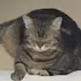 장영서