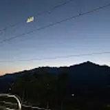 최이주