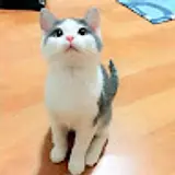Kevin