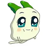 김청유