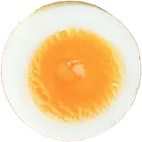 신화정