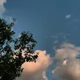 노주휘