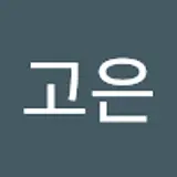 선고은
