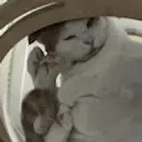 김희선