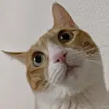 강빛고을