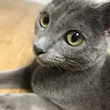 가나아