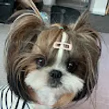 김수정